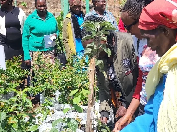 ognuno con il suo passo per il kenya fondazione fontana maratona